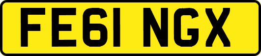 FE61NGX