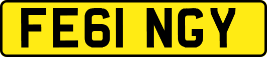 FE61NGY
