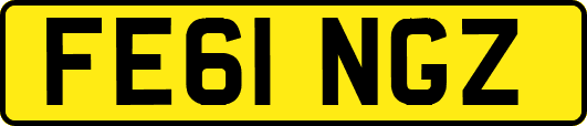 FE61NGZ