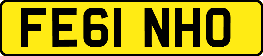 FE61NHO