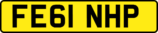 FE61NHP
