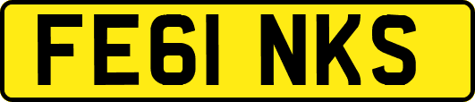 FE61NKS