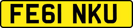 FE61NKU