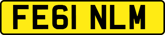 FE61NLM