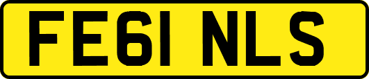 FE61NLS