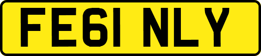 FE61NLY