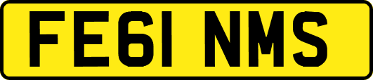 FE61NMS