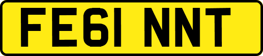 FE61NNT