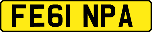 FE61NPA