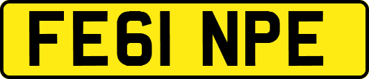 FE61NPE