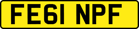 FE61NPF