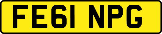 FE61NPG