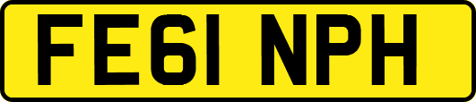 FE61NPH