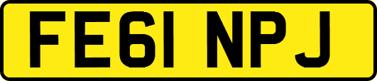FE61NPJ