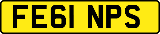 FE61NPS
