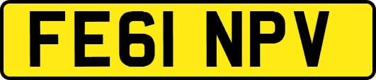 FE61NPV