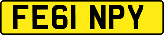 FE61NPY