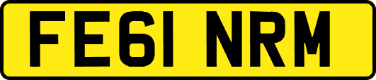FE61NRM