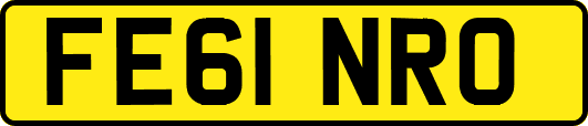 FE61NRO