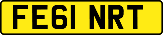 FE61NRT