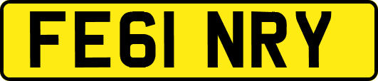 FE61NRY