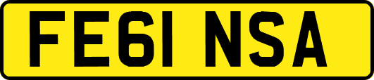 FE61NSA