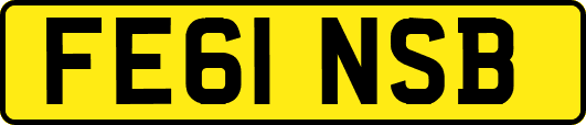 FE61NSB