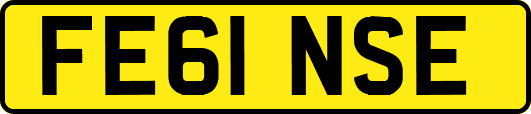 FE61NSE