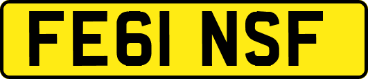 FE61NSF