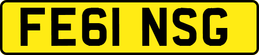 FE61NSG
