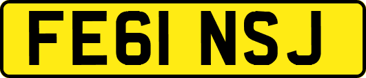 FE61NSJ