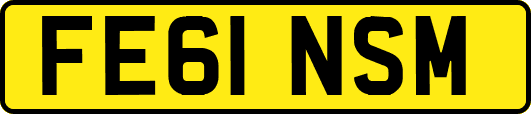 FE61NSM