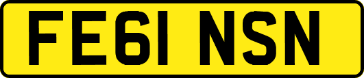 FE61NSN