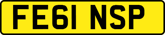 FE61NSP