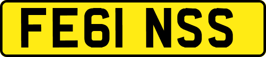 FE61NSS