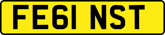 FE61NST