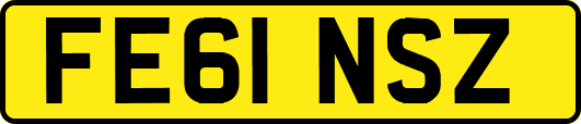FE61NSZ