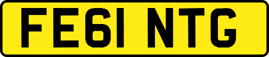 FE61NTG