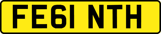 FE61NTH