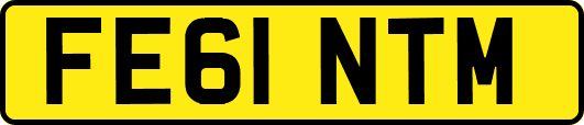 FE61NTM