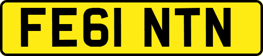 FE61NTN