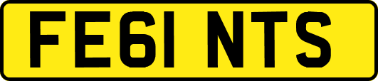 FE61NTS