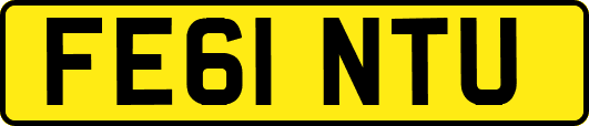 FE61NTU
