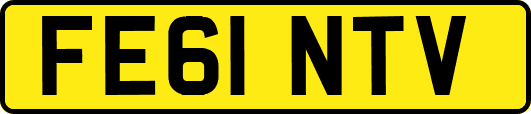 FE61NTV