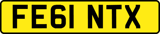 FE61NTX