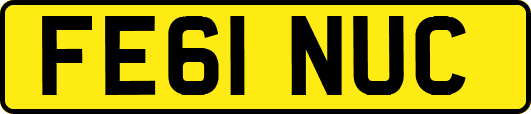 FE61NUC