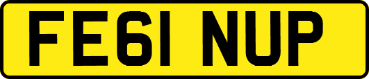 FE61NUP
