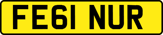 FE61NUR