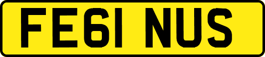FE61NUS