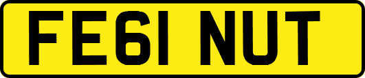 FE61NUT